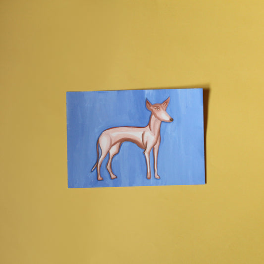 Ilustración original en gouache de perro podenco tamaño A5